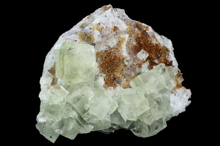 Lime-Green, Cubic Fluorite Crystal Cluster - Morocco #99005